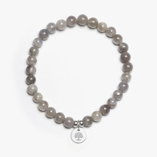 Labradorite Crystal Gemstone Bracelet