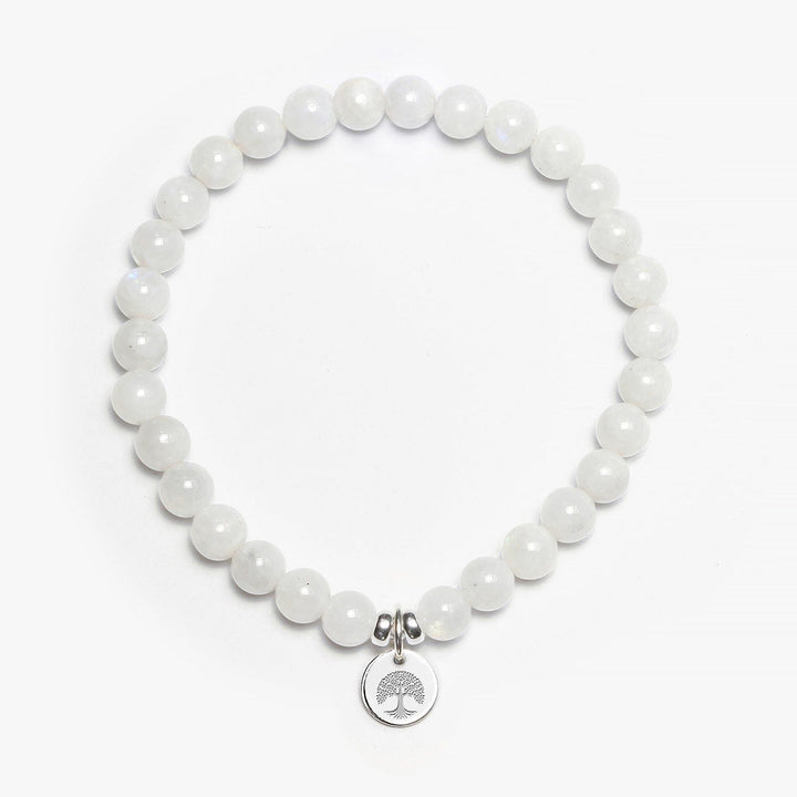 Spirit Jewel Bracelets Tree of Life Symbol / Small (16cm) Moonstone Crystal Gemstone Bracelet